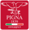 Pigna