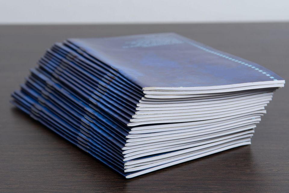 Riviste punto metallico