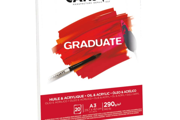 Blocco da disegno Canson per olio e acrilico bianco 290 g/m² A3 - 10 fogli C400110381